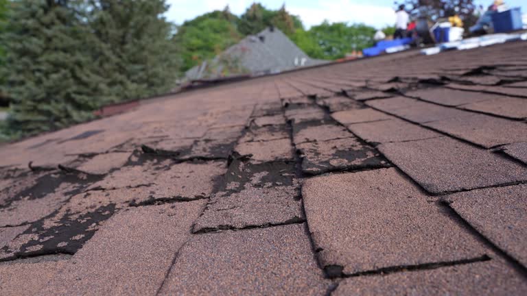 Fast & Reliable Emergency Roof Repairs in Cudahy, WI